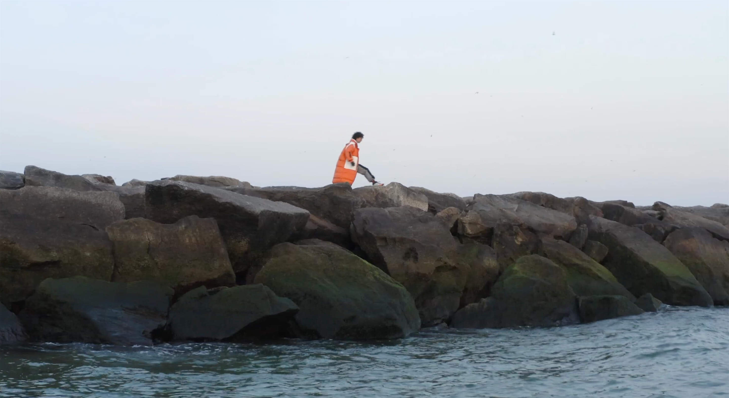 Adidas x Stella McCartney