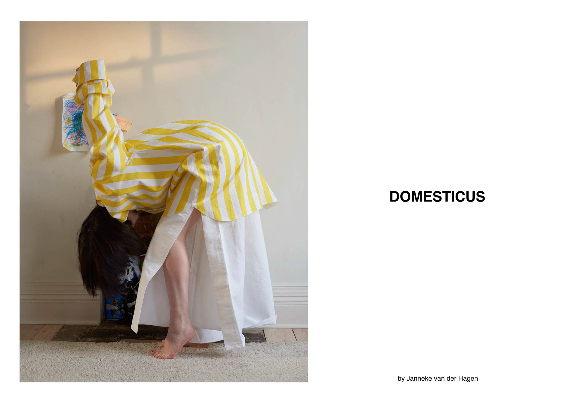 domesticus-01.jpg